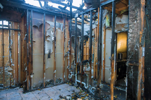 Professional Structural Rebuild technician working in Liberty Hill, TX